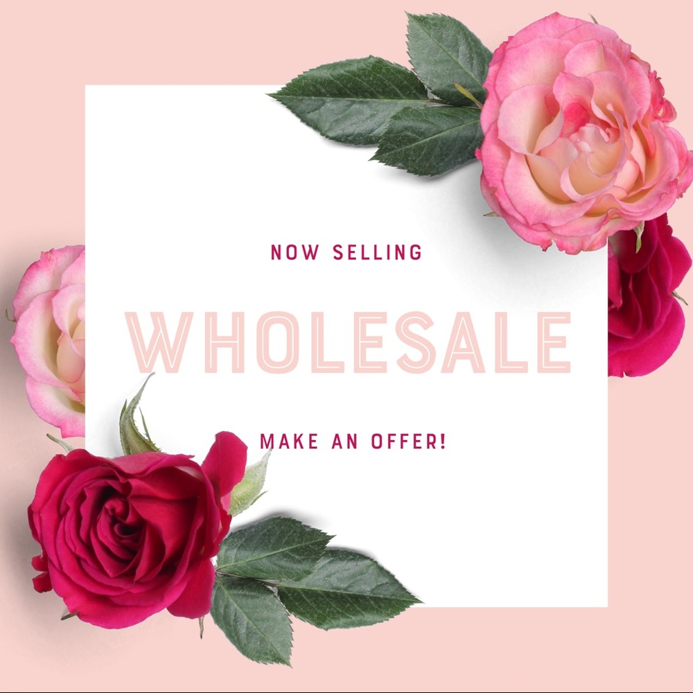 I am now selling wholesale clothing!!💗🌸👚